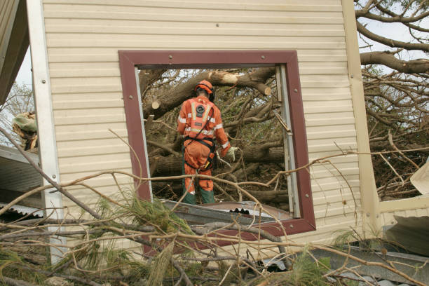 Best Commercial Tree Services  in Los Chaves, NM